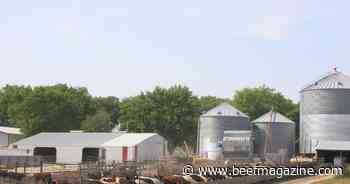 Are beef producers interested in cooperative business models?