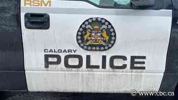 1 suspect arrested in suspicious death in southeast Calgary