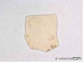 What Came First the Chicken or the Egg? Discovery of Ancient Eggshells Rewrites Chicken History