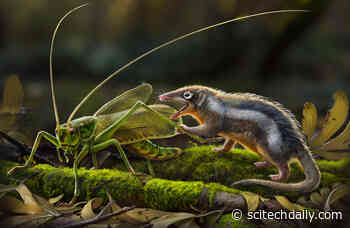 Jurassic Revolution: New Fossils Redefine Mammalian Ancestry