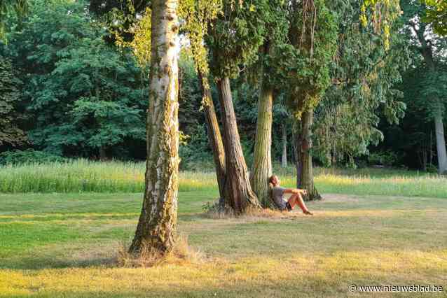 Woensdag Dag van de Fietshelm: Willem overleefde zwaar fietsongeval en is nu pleitbezorger voor helmplicht