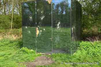 Vandalen slopen kunstwerk in Prinsbeemdenpark: “Ik ben er ziek van”