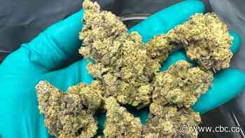 Cannabis retailer fined $200K for alleged 'illegal agreements'