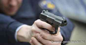 Gewapende aanhouding langs A15 na melding van bedreiging met een pistool