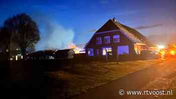 Kalveren dood bij grote stalbrand in Holthone