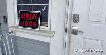 Woman hospitalized after attack by 2 dogs at same Edmonton home where boy died: lawyer