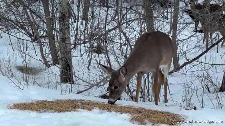 Thunder Bay Weather Outlook: Detailed Forecast for April 7, 2024