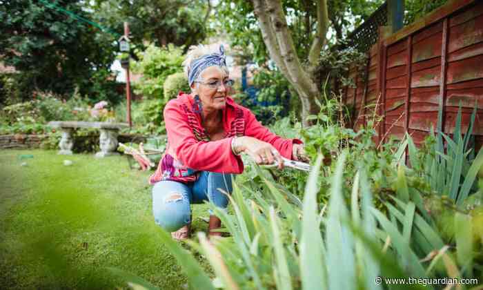 From raised beds to ground cover: how to create a low-maintenance garden