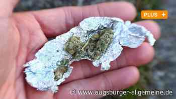 Wer hat Marihuana und Ecstasy im Schuhkarton versteckt?