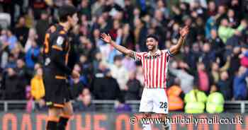 Hull City star baffled by Tigers MKM Stadium woes and makes key demand