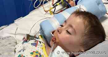 Boy, 4, has brain damage after falling off rope bridge in play area