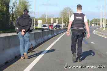 Politie redt eendjes die op drukke Rijksweg lopen