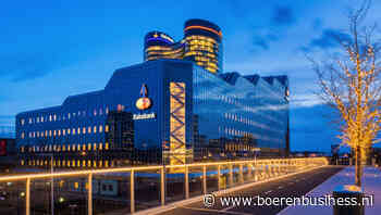 Rabobank wil meer slagkracht hoofdkantoor