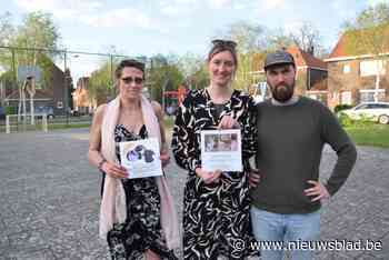 Al 8 (!) katten op korte tijd uit dezelfde wijk verdwenen, buren tasten in het duister: “Kans op kwaad opzet is groot”