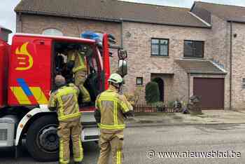 Brandweer blust kleine slaapkamerbrand in Stabroek