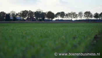 Tarwemarkt put moed uit berichten uit Rusland