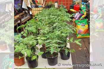 Tam O'Shanter looking for volunteers for its Gardeners Club