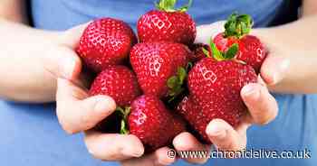 Fruit and veg discovery sparks public health concern over 'forever chemicals'