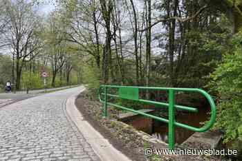 Na nieuw kasseidek Goorstraat nu ook nieuwe groene brugleuningen over Groot Schijn