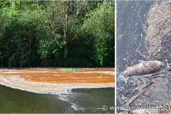 Oude Leiearm opnieuw zwaar vervuild met vettig goedje