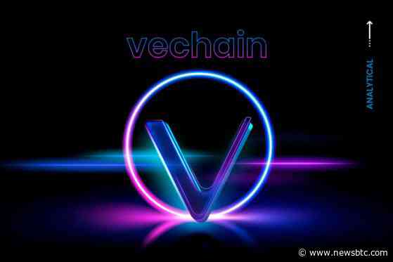 VeChain On The Edge: Insider Says VET Will Reach The Finish Line