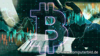 Ripple-CEO erwartet Verdopplung des Kryptomarktes