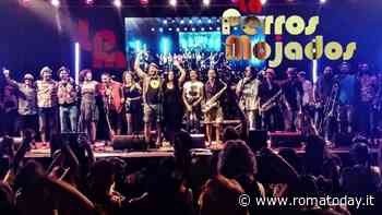 Cumbia! La Perros Mojados & Pinche Perro x Casalive