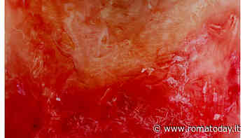 Serendipity, mostra personale di Haya Kim