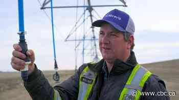 Water is in short supply in southern Alberta. Is a massive expansion of irrigation possible?