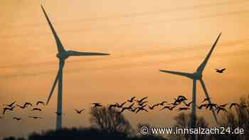 Für den Windpark im Staatsforst Altötting: Neuer Verein „Energiewende InnSalzach“ bezieht Stellung