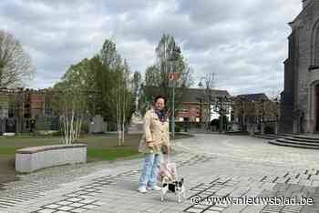 Eerste reacties op dorpspark positief: “Ik had er schrik van eerst, maar vind het geslaagd”