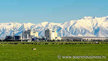 Hoe zuivelbriljant Synlait diep in een crisis kwam