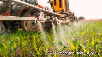 ‘Forever chemicals’ found in popular UK fresh produce