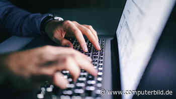 Studie enthüllt aufregende Ergebnisse: Macht zu viel Arbeit etwa dumm?