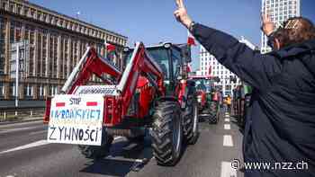 Ukrainische Agrarexporte spalten Europa – die EU einigt sich auf einen Minikompromiss