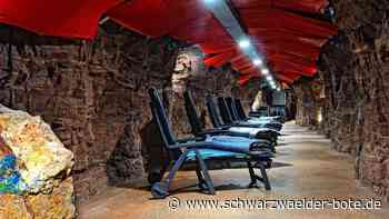 Im Neubulacher Heilstollen: Wissenschaftliche Studie geplant: Das steck dahinter