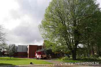 Brandweer ontmantelt boom na storm