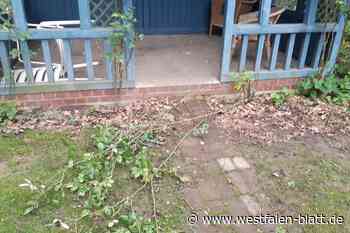 Vlotho:  Zerstörungen an Laube und Pflanzen