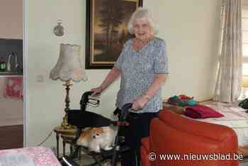 Simone (86) raakt al meer dan 3 maanden amper buiten omdat lift stuk is: “Ik kijk er zo naar uit om nog eens met mijn hondje te gaan wandelen”