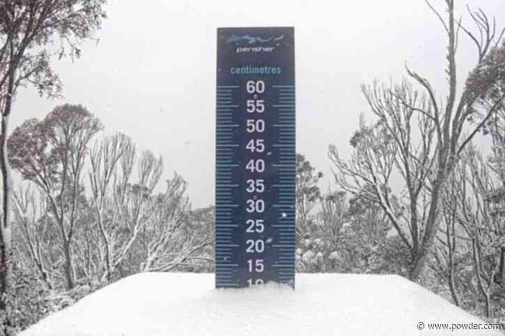 Australia's Largest Ski Resort Records First Snowfall Of Season