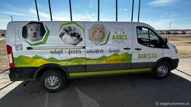 'Critical need for our program': Alberta Animal Rescue Crew Society facing financial troubles
