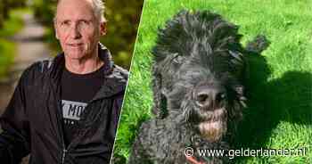 Geleidehond Flint staat nog buiten als de liftdeuren sluiten: het gaat vreselijk mis