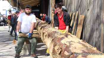 Beißen sich auch heuer die Diebe am Finsinger Maibaum die Zähne aus?