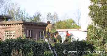 Jongen bevrijd uit verlaten slachthuis in Waalwijk, TikTokkers roepen elkaar op slooppand te bezoeken