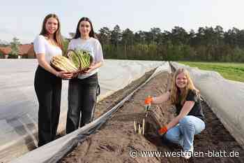 Egal ob weiß oder grün: Der Spargel aus dem Delbrücker Land ist da!