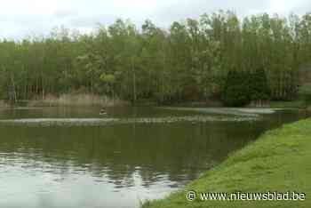 Vissers van Terhaagse visvijver met handen in het haar omdat water te zwaar vervuild is: “Dit is een kwalijke bedoening”
