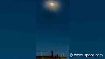 I proposed to my fiancée under the diamond ring of the 2024 total solar eclipse. (She said 'Yes!')