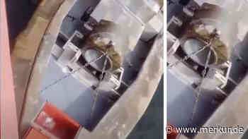 Rätsel in Rumänien: Neuartige Marine-Drohne angespült – erste Vermutungen zur Herkunft