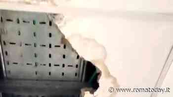 "Blatte, topi e spazi inagibili nella residenza di Vallerano": nuova denuncia degli studenti