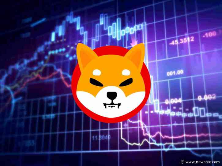Shiba Inu Sees Bullish Reversal In On-Chain Metrics, Can SHIB Price Recover?